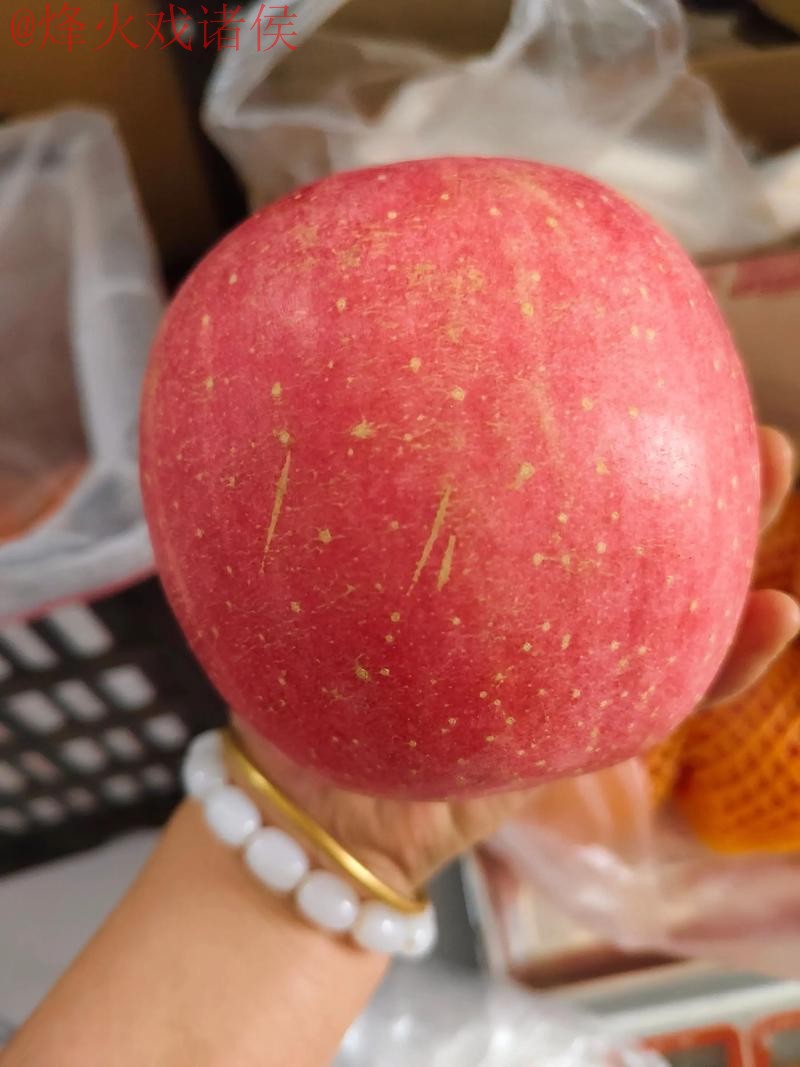 世界杯盘口苹果最佳